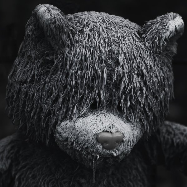 Одинокий медведь