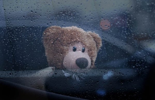 Медвежонок скучает