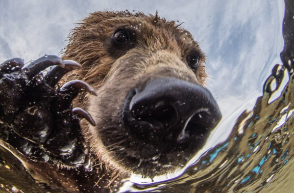Михаил коростелёв фотограф