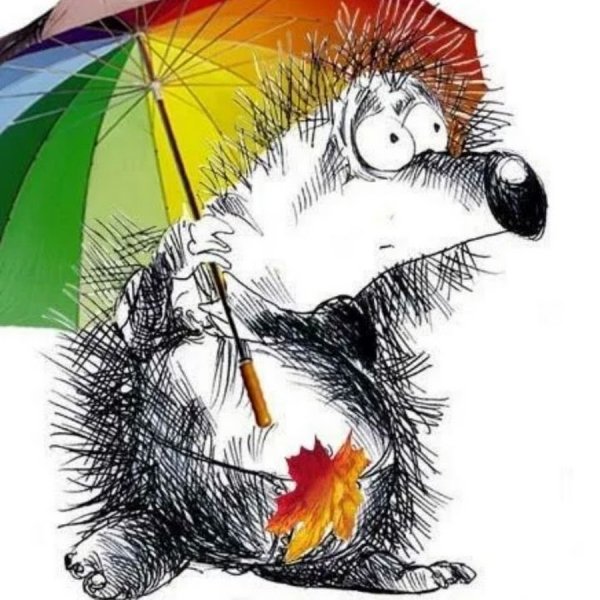 Еж с зонтом