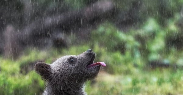 Дмитрий Архипов фотограф Ямал