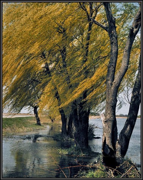 Ветреная осень