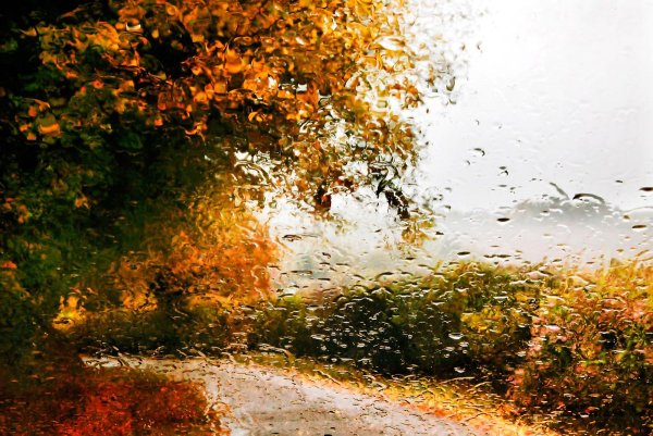 Сильный дождь осень