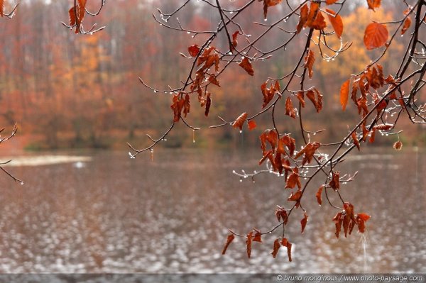 Осень дождь