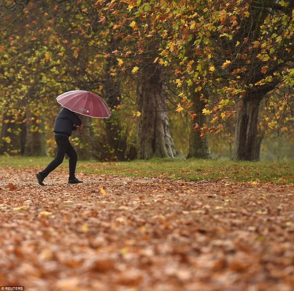 Осенний ветер город