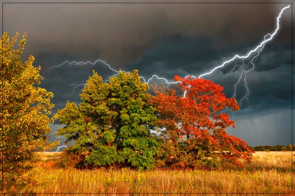 Осень гроза
