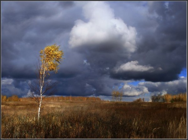 Осень ветер