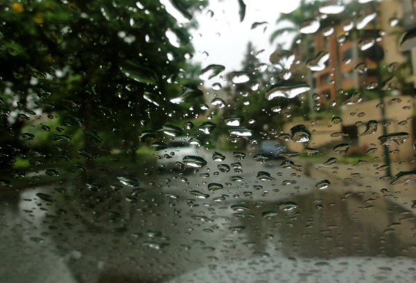 Дождь за окном