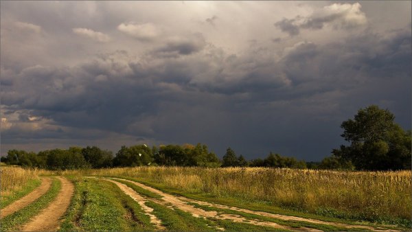 Перед грозой в деревне