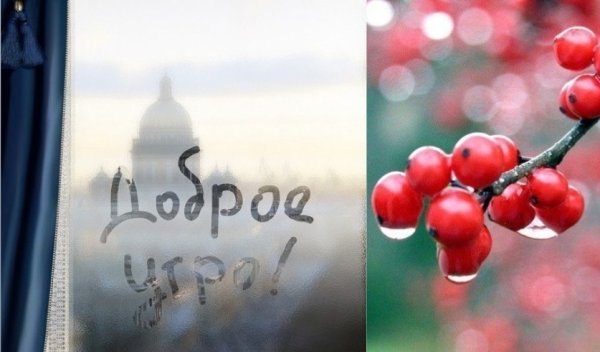Доброе утро дождь