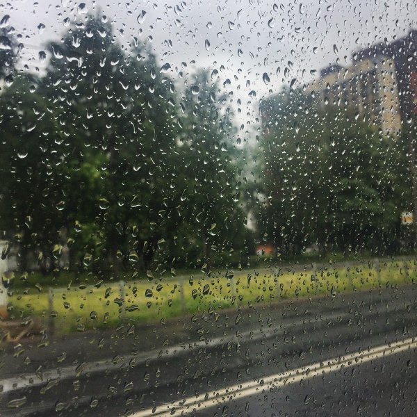 Дождливый летний день