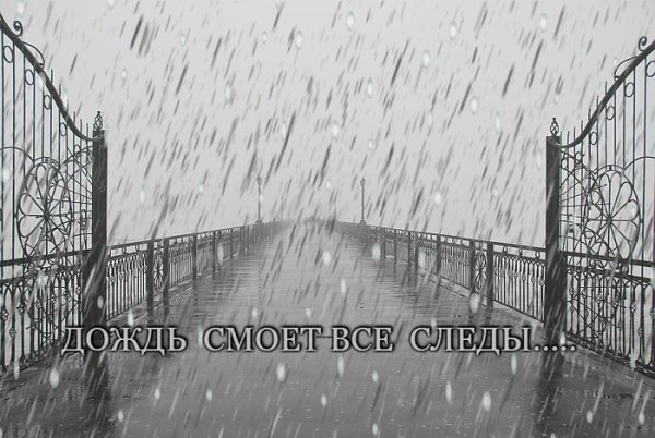 Дождь смоет все