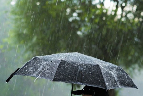 Сильный дождь