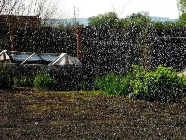 Дождь на даче