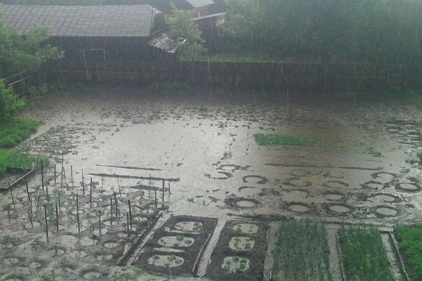 Ливень в огороде