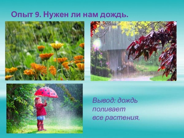 Дождик поливает