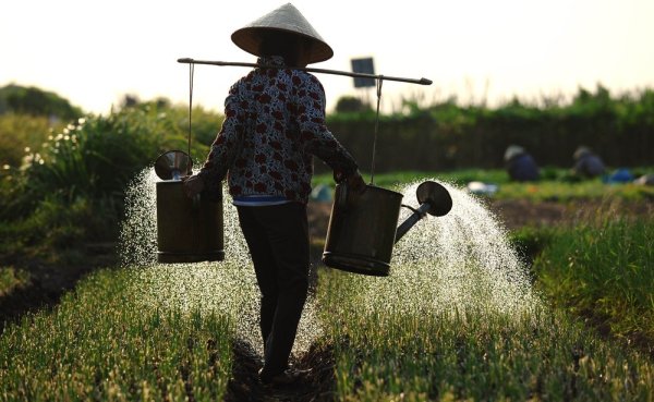 Дедушка с лейкой