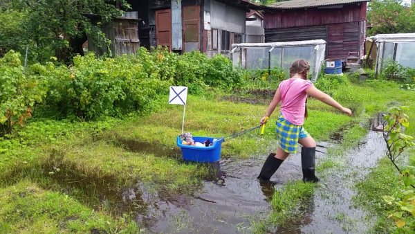 Ливень в огороде