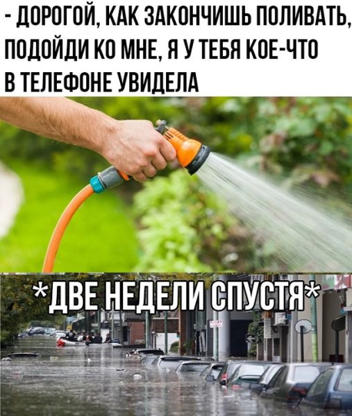 Шутка про полив
