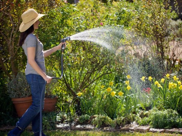 Полив огорода из шланга