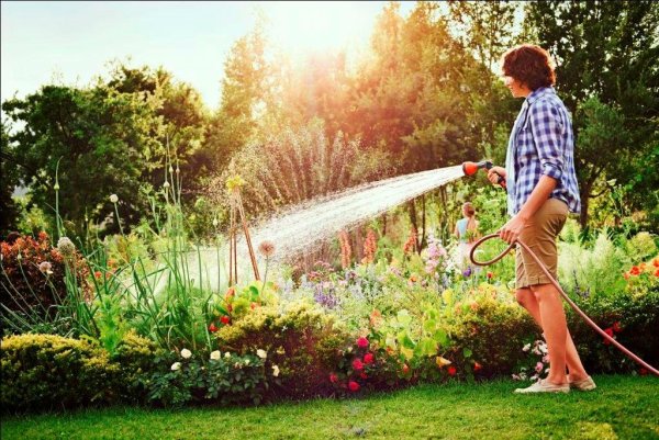 Полив сада