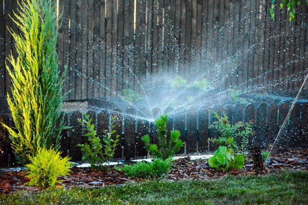 Полив во дворе