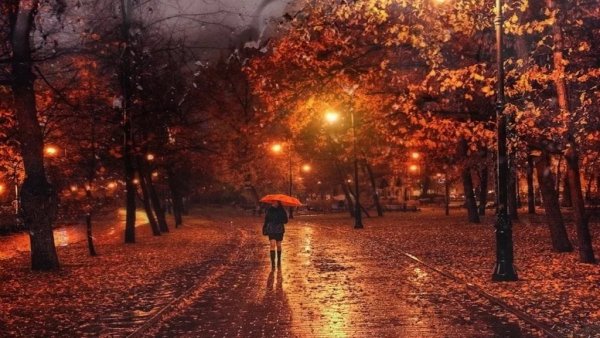 Осень вечер