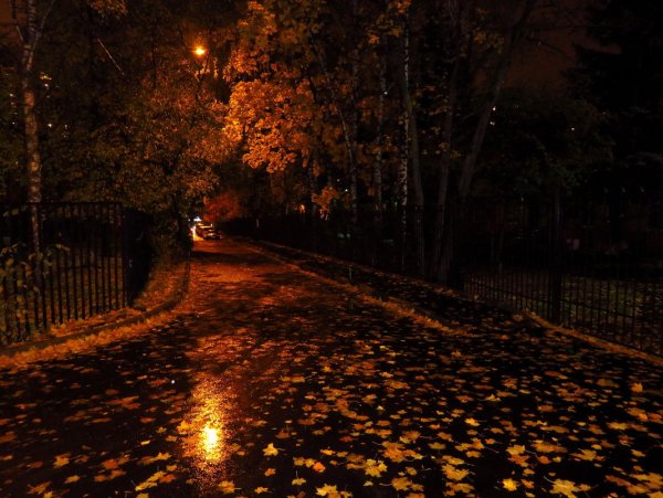 Осенний вечер