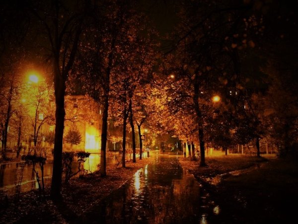 Осень ночь город