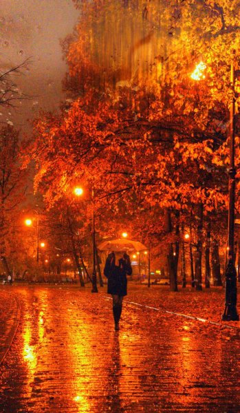 Дождливый осенний вечер