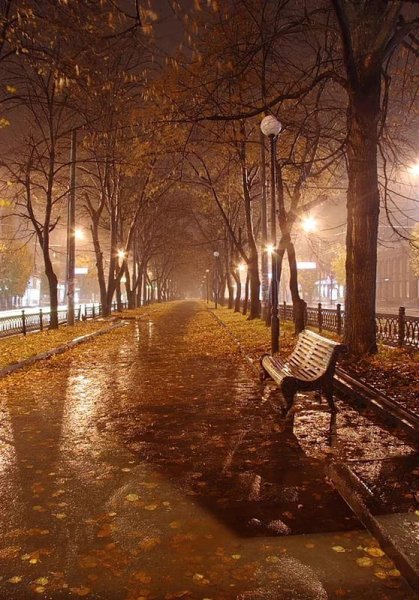 Осень в городе