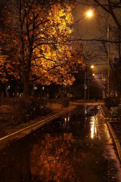 Осенний вечер в городе