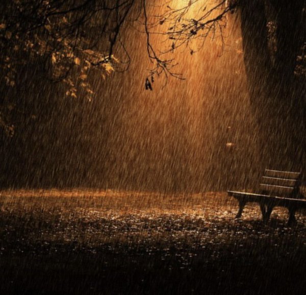 Осень ночь дождь