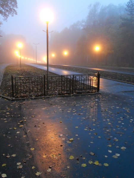 "Дождливый вечер"