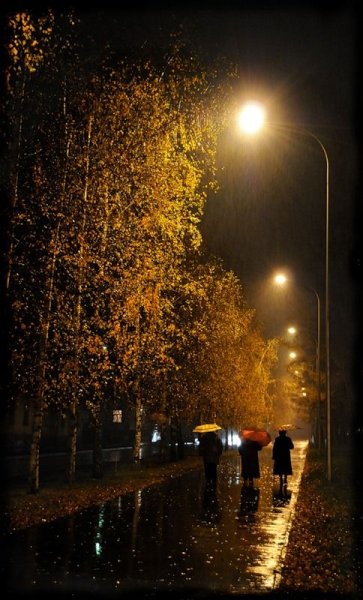 Ночной осенний дождь