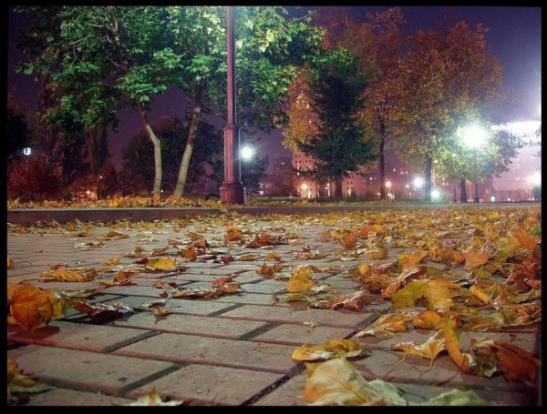 Дождливая осень в городе