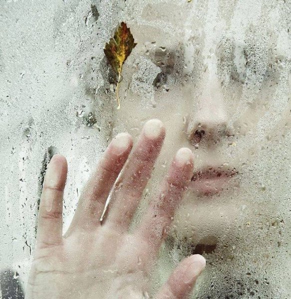 Ладонь на стекле