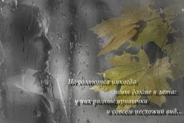 Стихи про дождь грустные