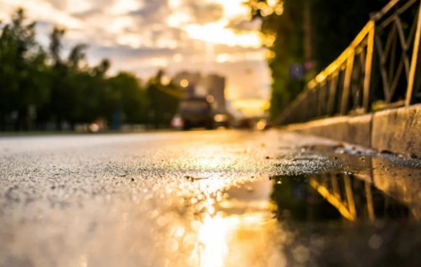 Запах после дождя