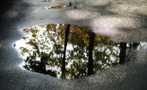 Лужи осенью