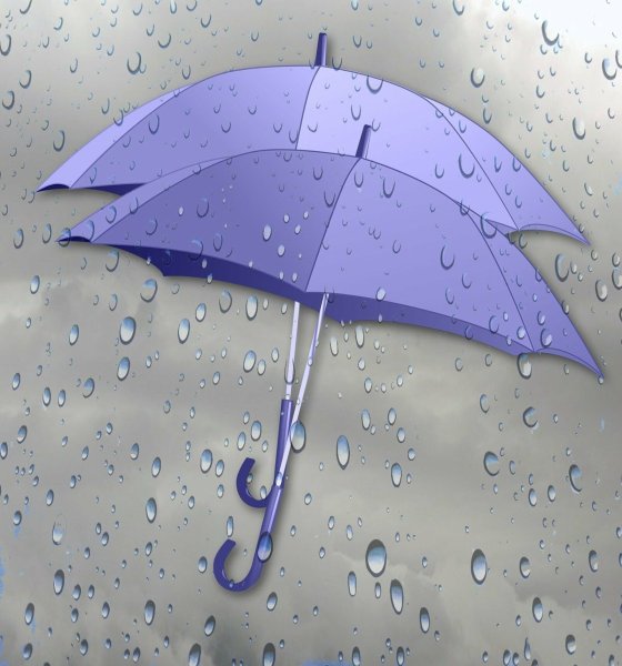 Дождь зонтик