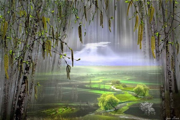 Игорь Зенин фотохудожник Весна