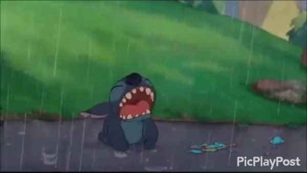 Стич плачет