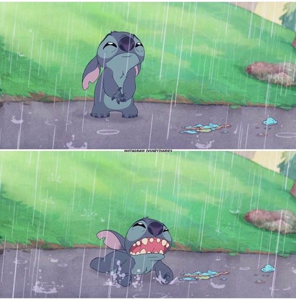 Стич под дождем