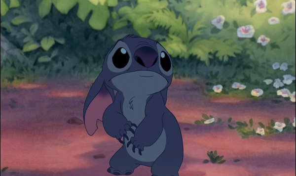 Стич расстроен