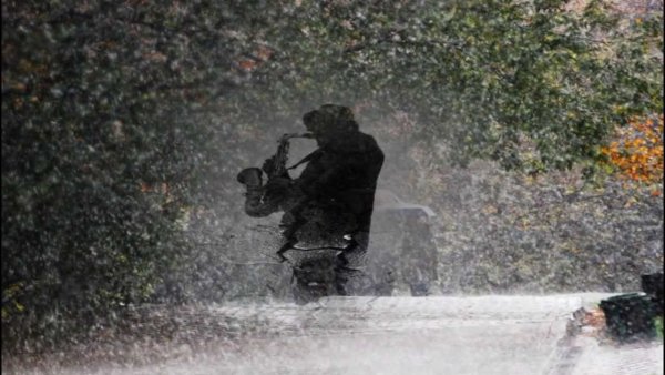 Блюз под дождем