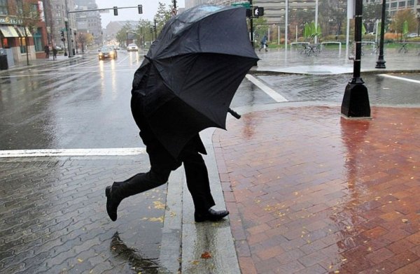 Сильный ветер и дождь