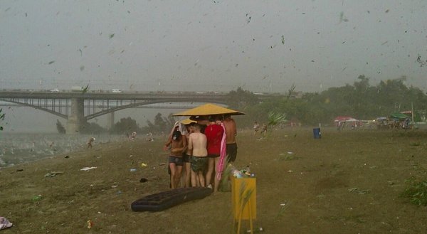 Град в Новосибирске 2014 на пляже