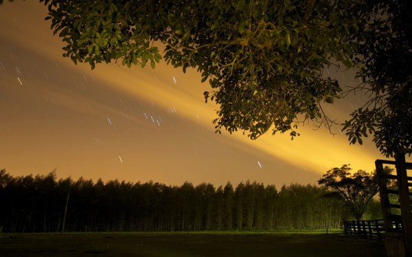 Ночь летняя поля лес