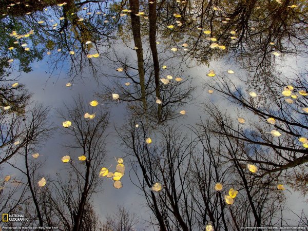 Дождливый весенний вечер